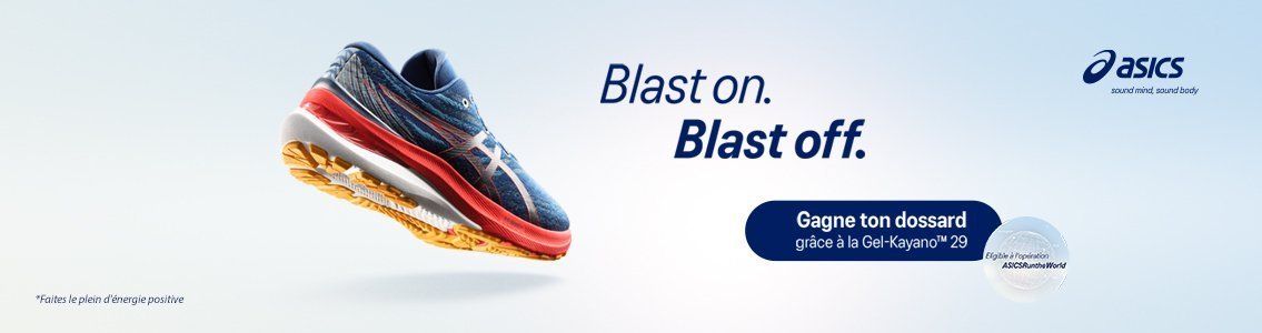 Asics Kayano 29
