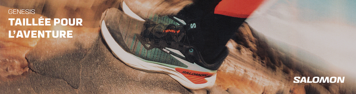Nouvelle SALOMON GENESIS