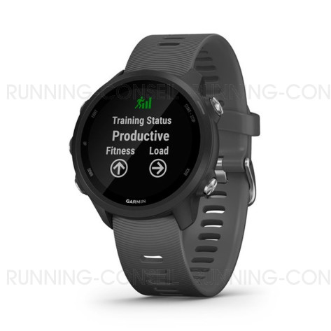 GARMIN Montre GPS Forerunner® 245 Grise