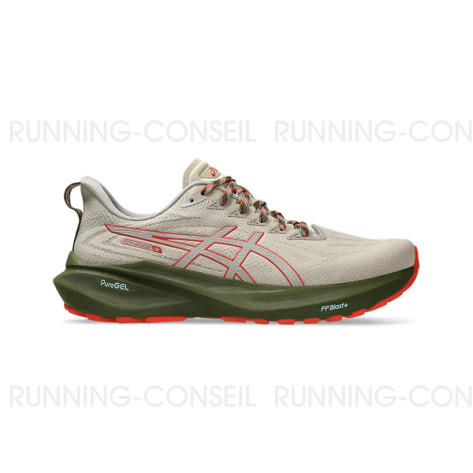 ASICS GT-2000 13 TR Homme