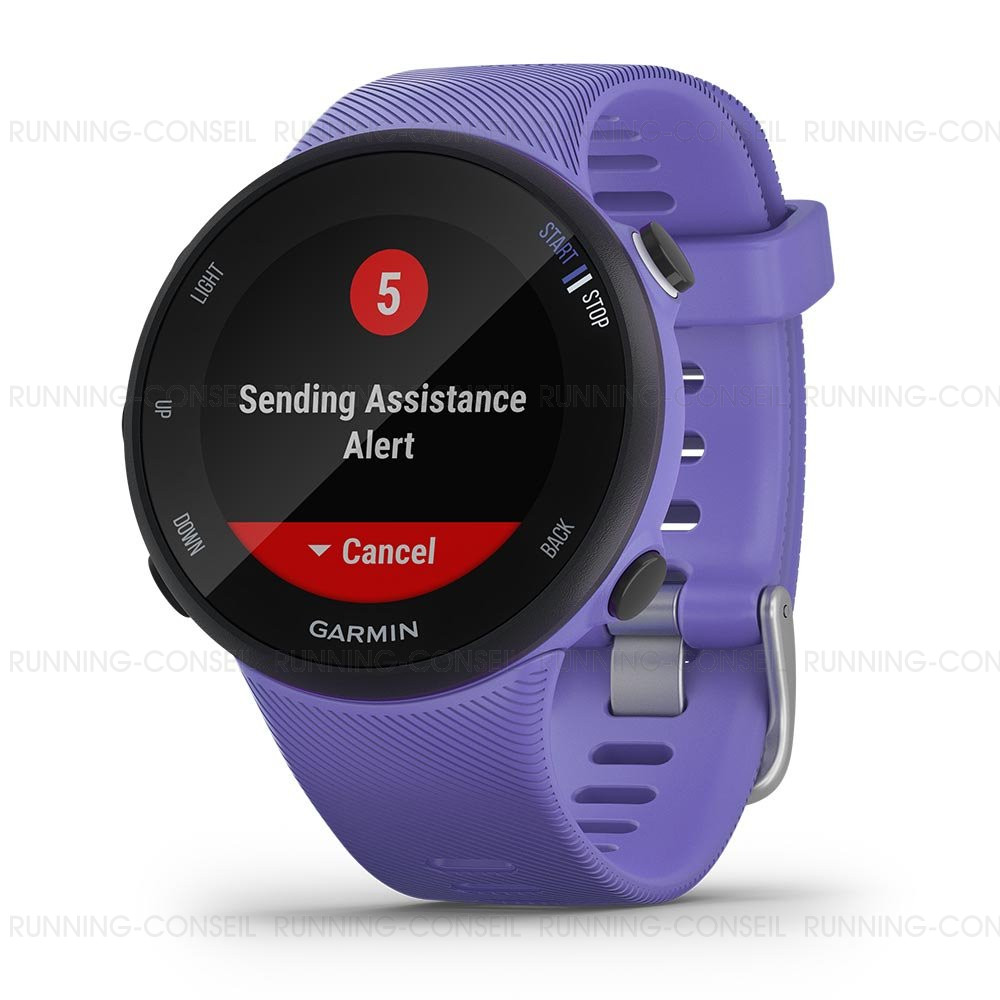 GARMIN Forerunner 45S Iris