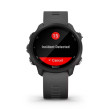 GARMIN Montre GPS Forerunner® 245 Grise