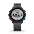 GARMIN Montre GPS Forerunner® 245 Grise