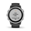 GARMIN Fénix 6S Mixte avec bracelet noir