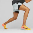 PUMA EVOSPEED STAR8 Homme SUN STREAM-SUNSET GLOW-BLACK 